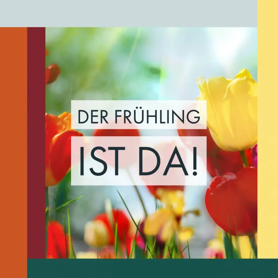 Frühling in fünf Farben